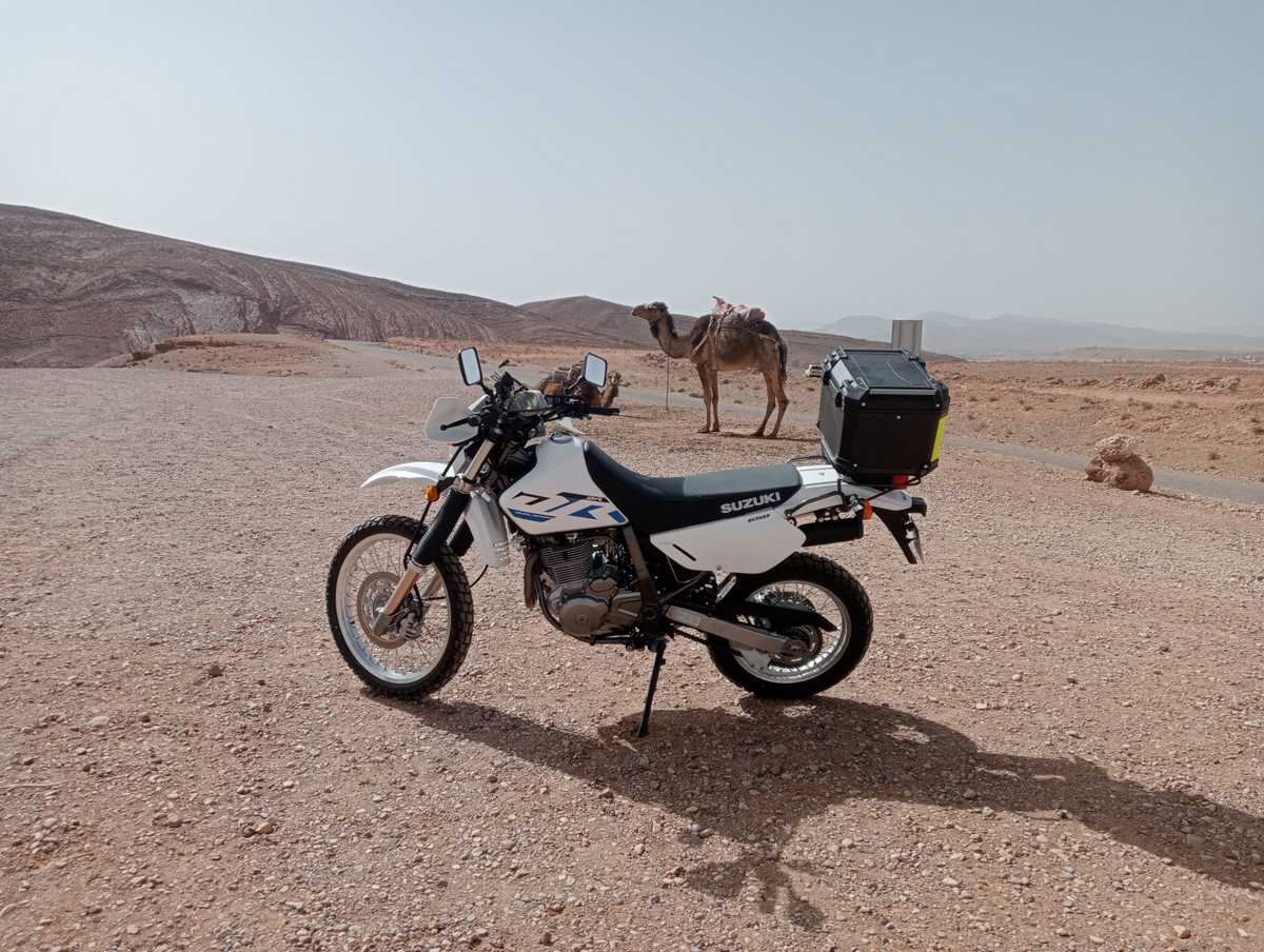 morocco-rides-suzuki-dr-rental