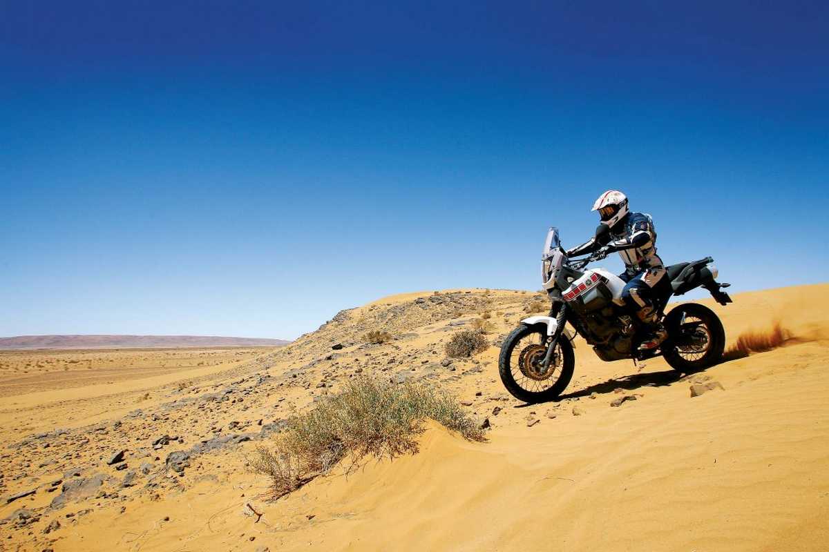 morocco-tours-tenere_660